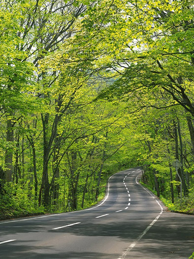 道路實(shí)景