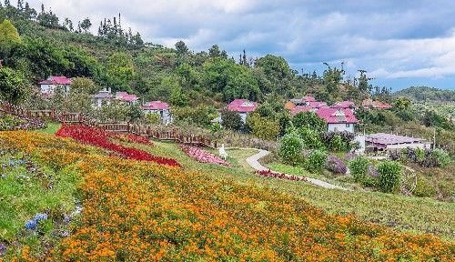 云南临沧有个“鲜花村寨”，昔日贫困山村，摇身变成“欧洲小镇”