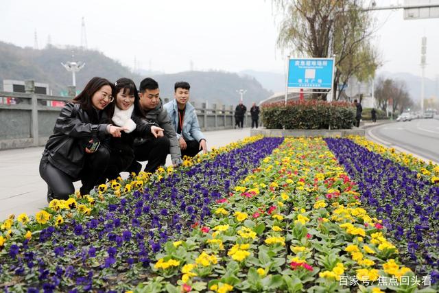 鲜花绽放囍迎新年