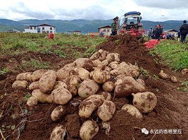 甘肃兰州：元宵佳节“排长龙”鲜花只为献英雄