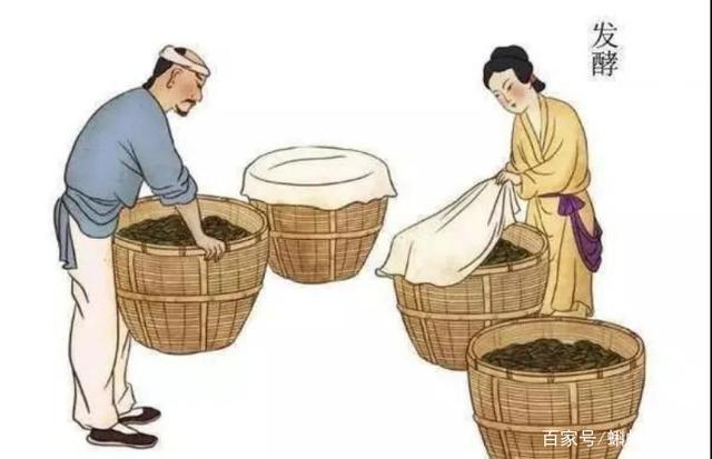 为什么我不建议你自己酿葡萄酒